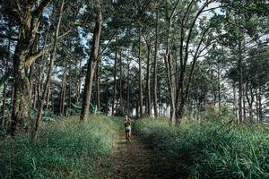 BIB: 
                            <button type="button" onclick="openModal(25656973)" class="btn btn-primary btn-sm float-right btn-popup" data-toggle="modal" data-target=".modal-high-quality">
                        <i class="fas fa-shopping-cart"></i> Add to Cart
                    </button>
                                            <button type="button" onclick="isThisMe(25656973, true)" class="btn btn-success btn-sm float-right btn-popup btn-isme hidden" data-toggle="tooltip" data-placement="bottom" title="นี่คือรูปของคุณใช่ไหม คลิกที่นี่เพื่อเอาเข้าอัลบั้ม">
                        <i class="fas fa-plus"></i> Add to album
                    </button>
                    <button type="button" onclick="isThisMe(25656973, false)" class="btn btn-warning btn-sm float-right btn-popup btn-isnotme hidden">
                        <i class="fas fa-ban"></i> Remove from album
                    </button>